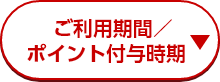 ご利用期間／ポイント付与時期