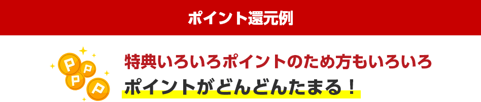 ポイント還元例 PPPP 特典いろいろポイントのため方もいろいろ ポイントがどんどんたまる！