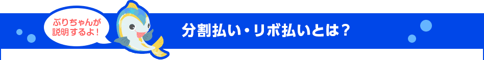 ぶりちゃんが説明するよ！ 分割払い・リボ払いとは？