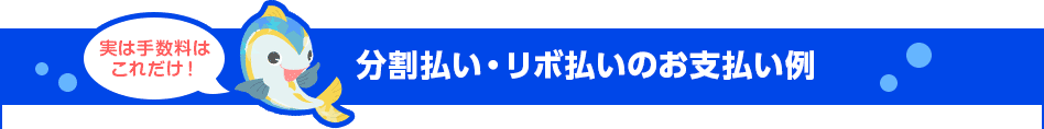 実は手数料はこれだけ！ 分割払い・リボ払いのお支払い例