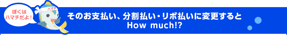 ぼくはハマチだよ！ ハマチ そのお支払い、分割払い・リボ払いに変更するとHow much!?