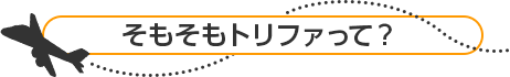そもそもトリファって？