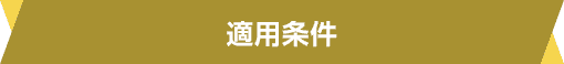 適用条件 適用条件