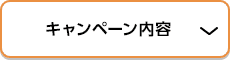 キャンペーン内容