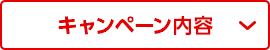 キャンペーン内容